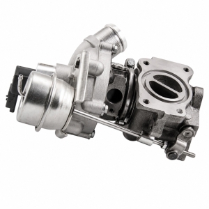 ��������������� BorgWarner 5303-970-0121